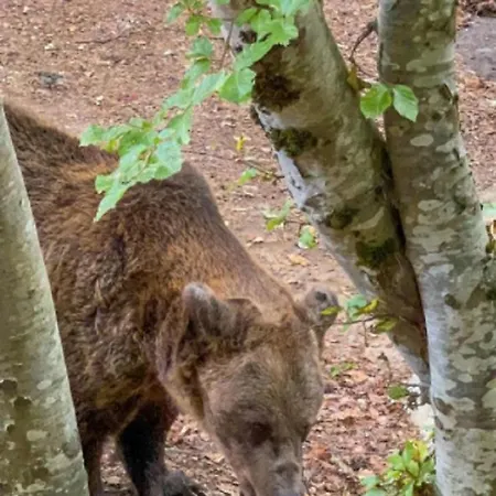 公寓式酒店 Luxory In 4 Star St Ivan Rilski,