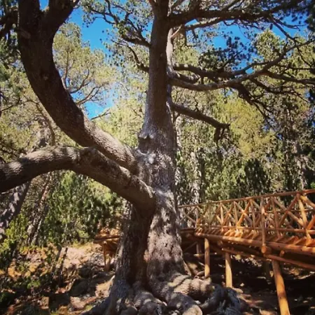 Luxory In 4 Star St Ivan Rilski, 4*