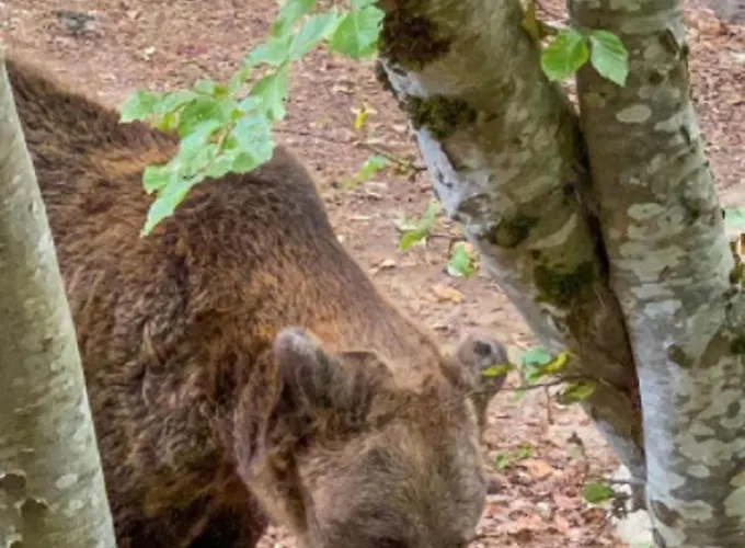 Aparthotel Luxory In 4 Star St Ivan Rilski,