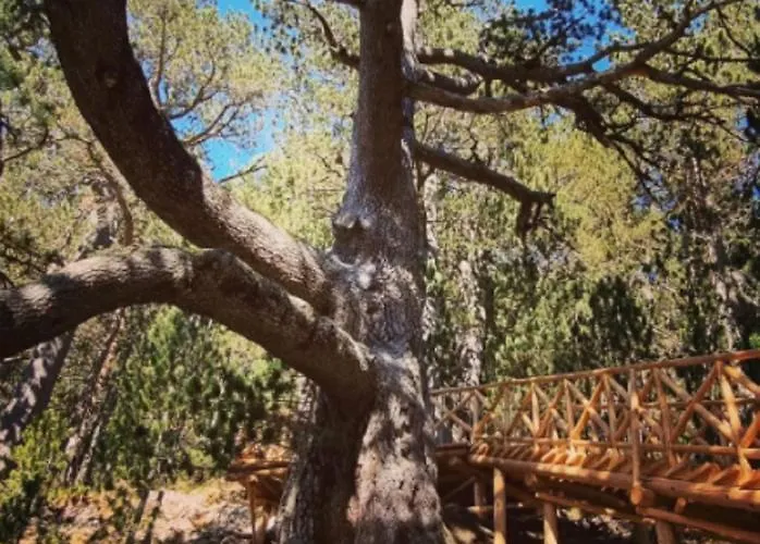 Luxory In 4 Star St Ivan Rilski, 4*